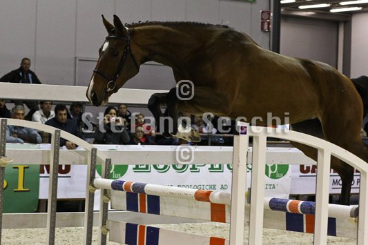 NADA BRAUN_MILANO_2010_SS3_1545.jpg